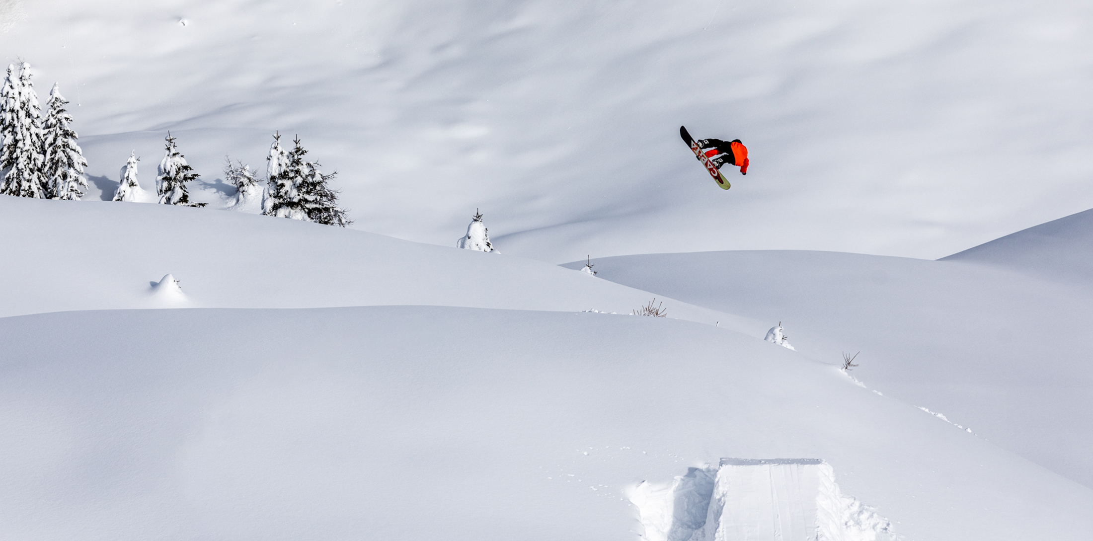 Carlo Ski